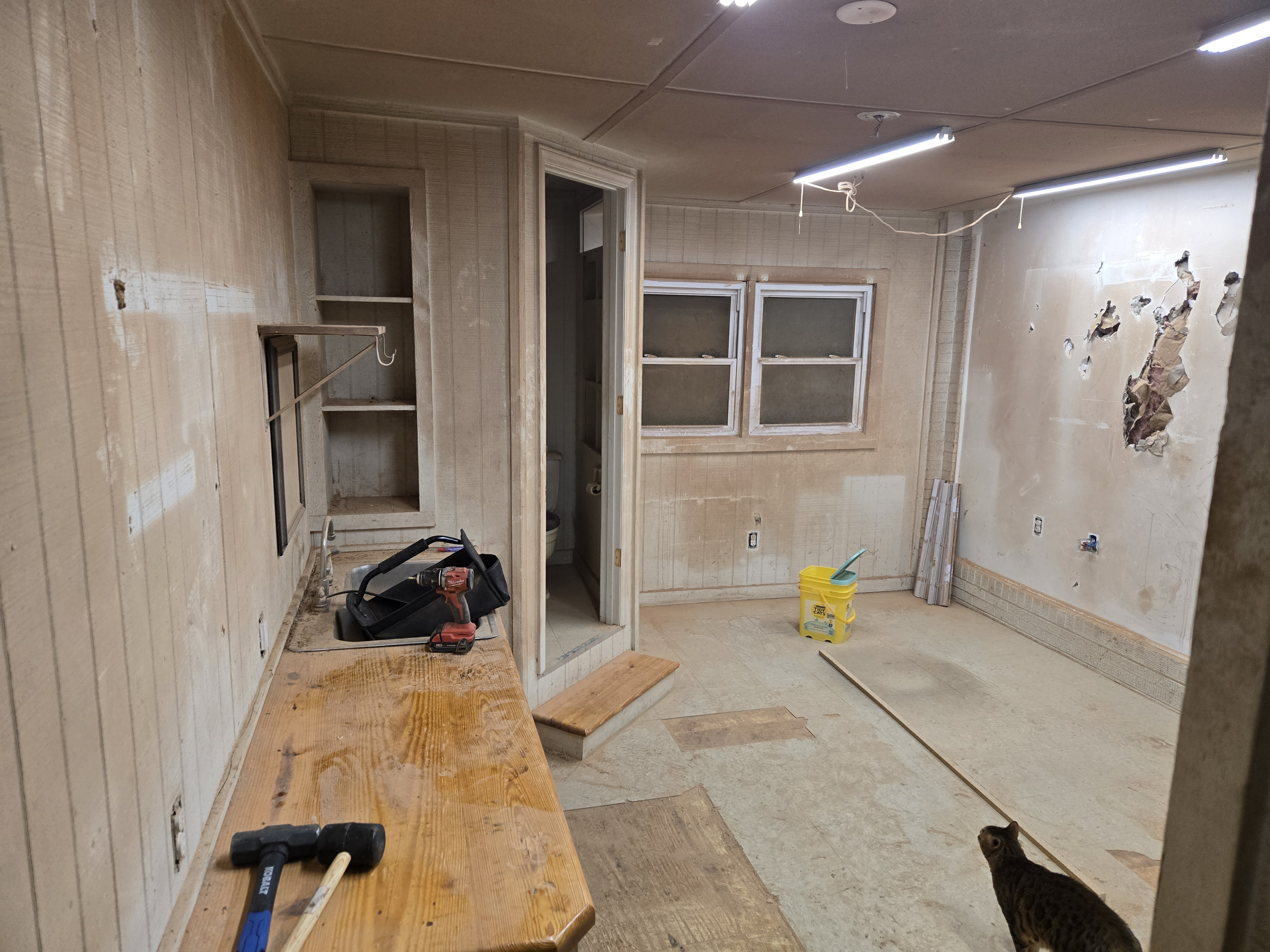 Main Project Image